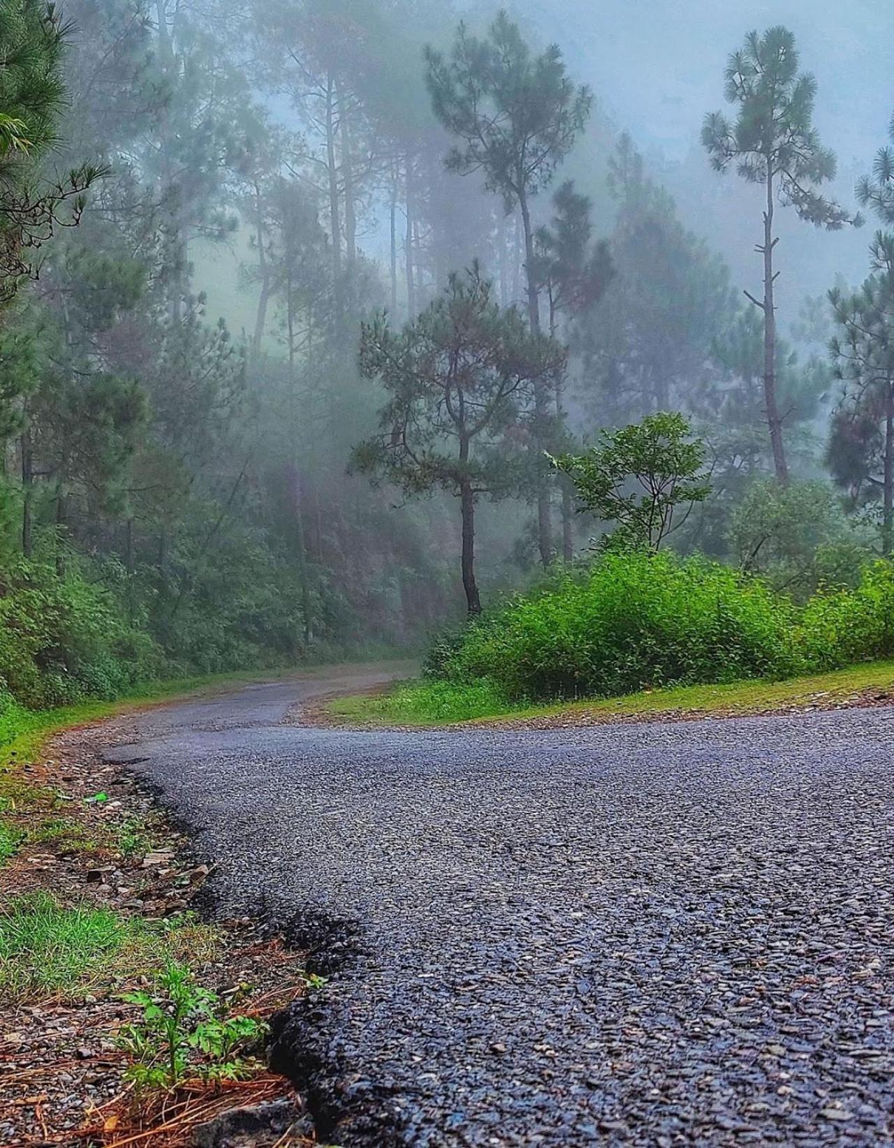 Kabana De Nature Rajgarh  Exterior photo